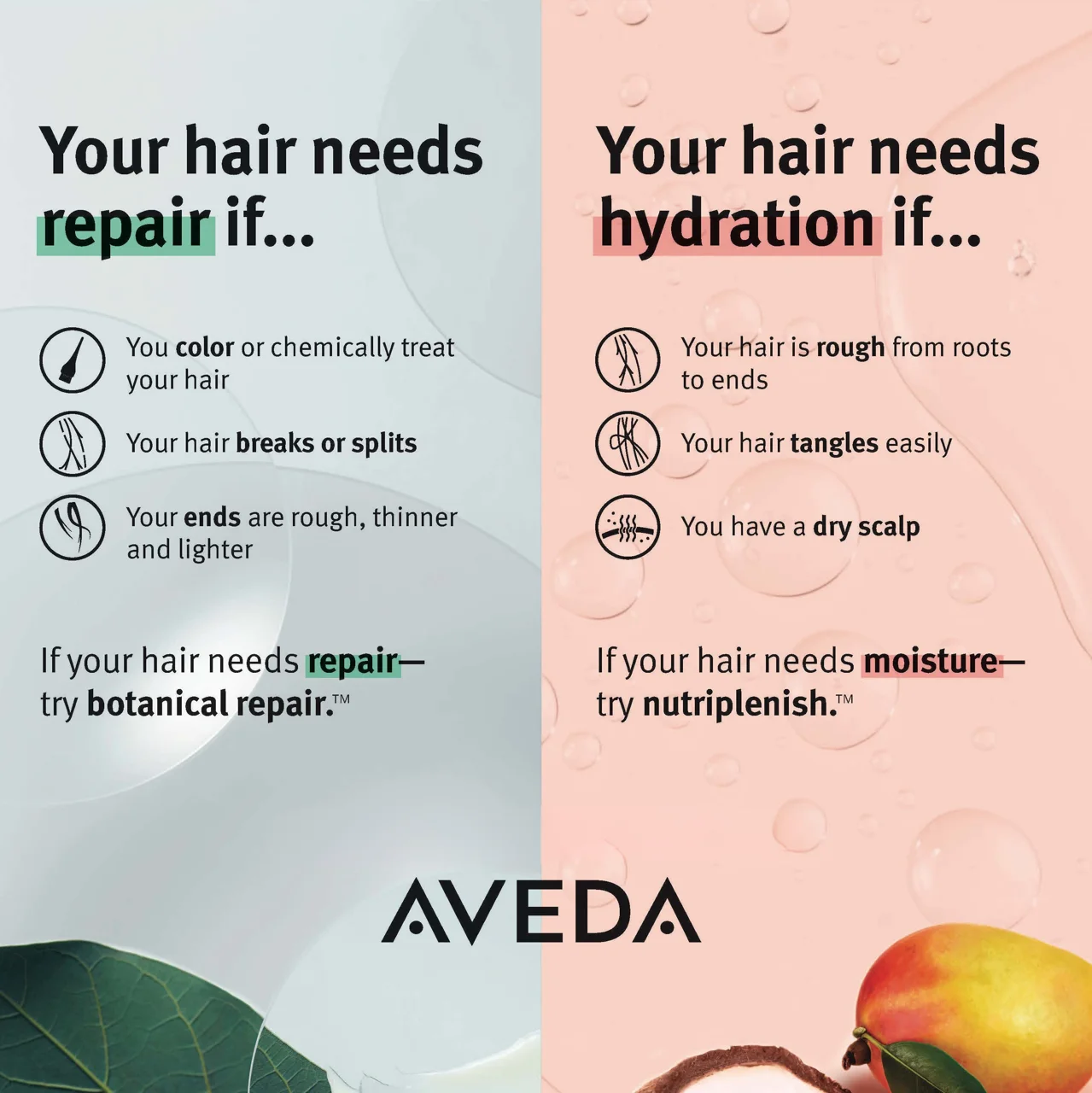 Aveda comparison of hair repair and hydration needs; text description below.